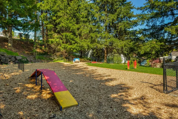 Dog park