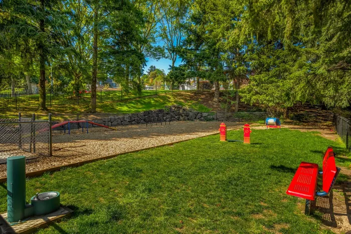 Dog park