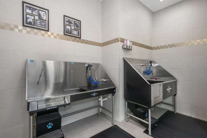 pet wash