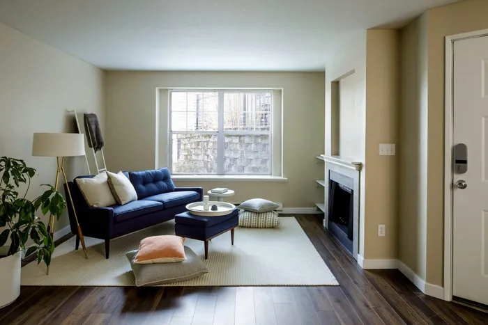 Modern Living Room