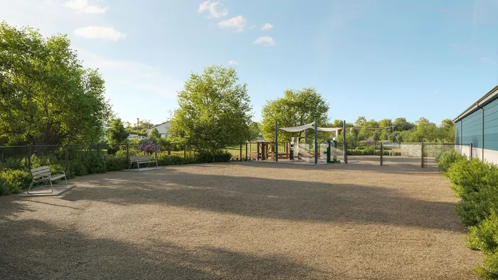 dog park