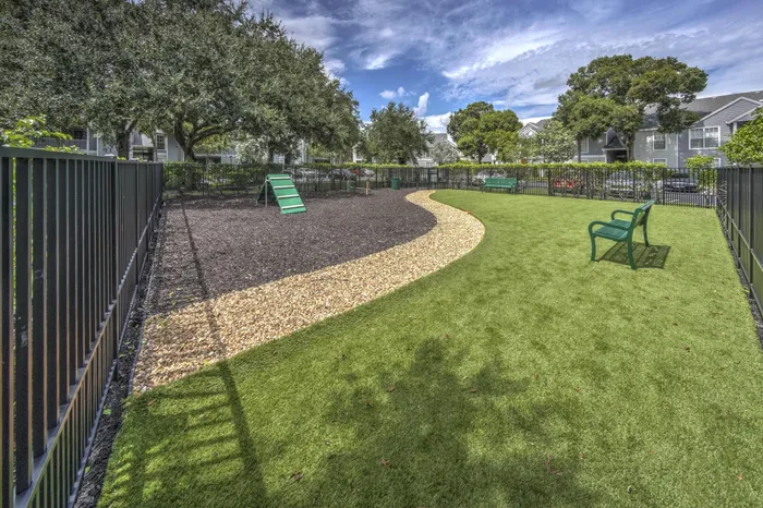 Dog Park