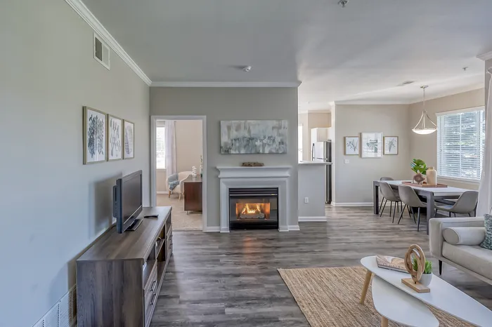 Living room with fireplace