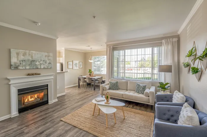 Living room large