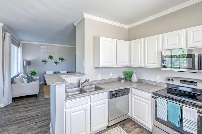 Kitchen counters and appliances