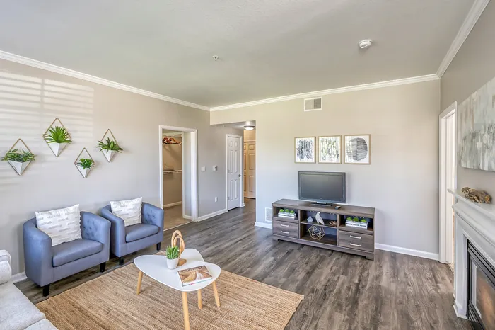 Living room, 2 blue chairs, entertainment center
