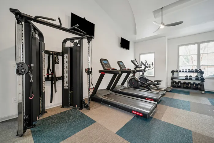Fitness weights
