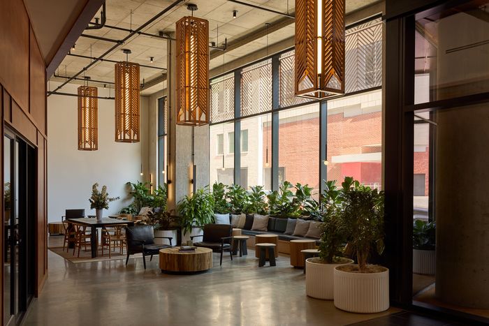 Serene Social Spaces