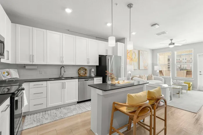 Modern Kitchen with Stainless Steel Appliances
