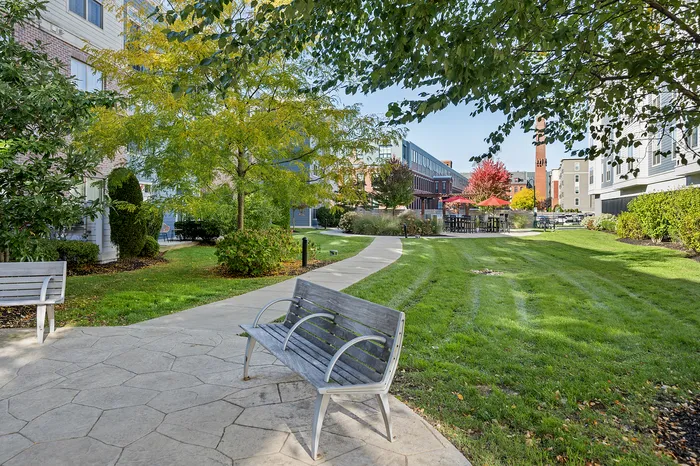 Benches and Greenery Throughout