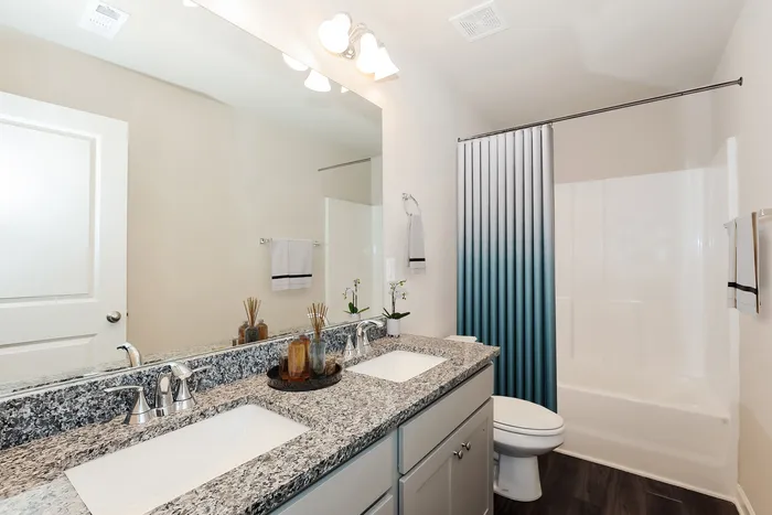 Sunlight bathroom