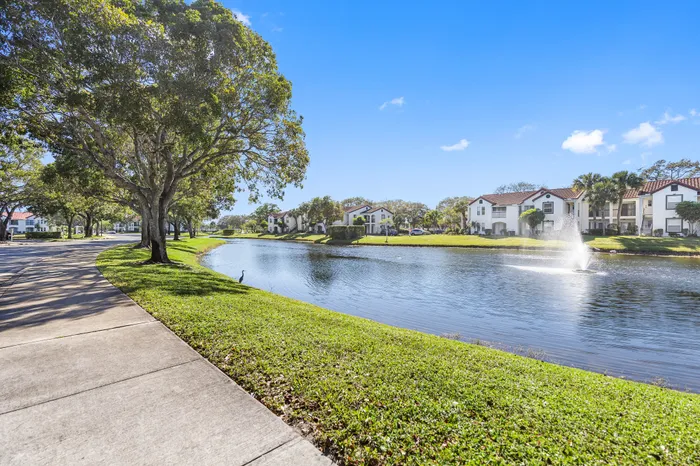 Community Amenity - Pond