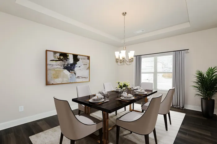 Sunlight dining room