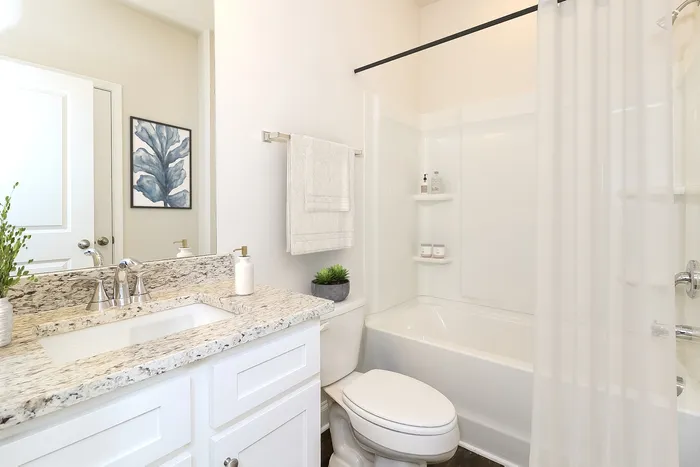 Sunshine bathroom