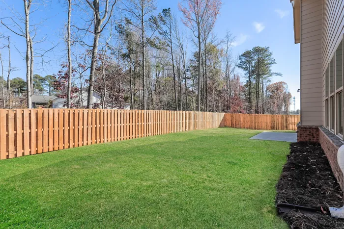 Solstice fenced in back yard