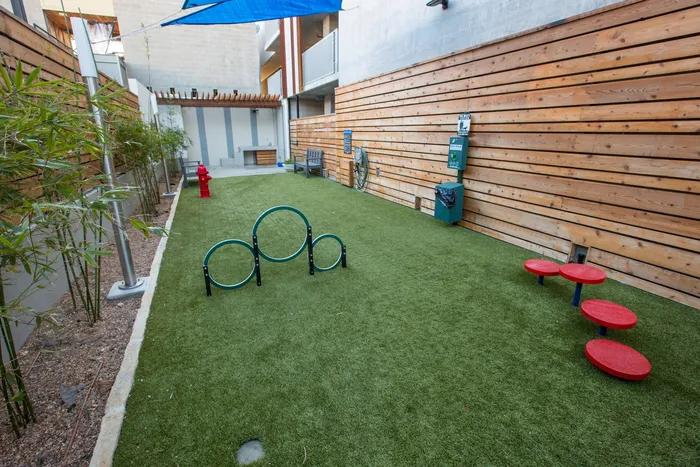 dog area