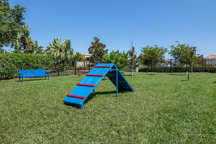 Dog park with ramps and jumps
