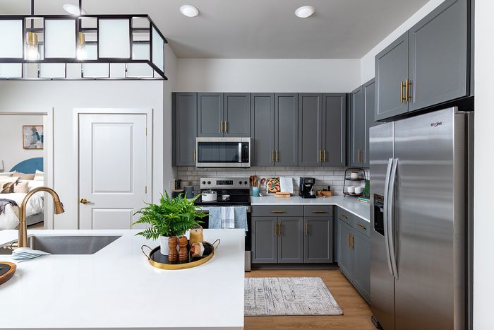 Stainless Steel Kitchen Appliances