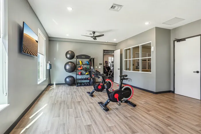 spin bikes