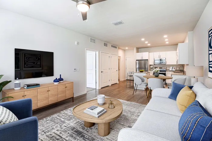 apartment living room and kitchen
