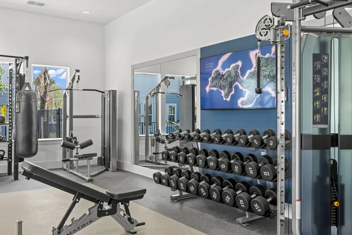 Free weights