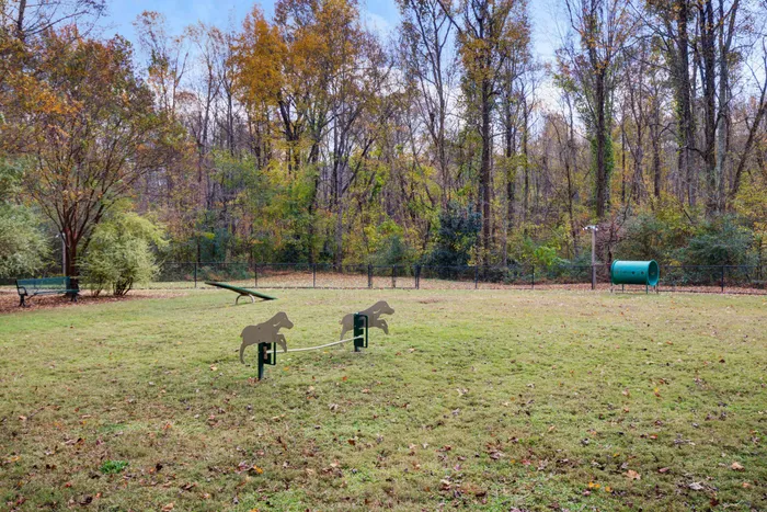 Dog Park