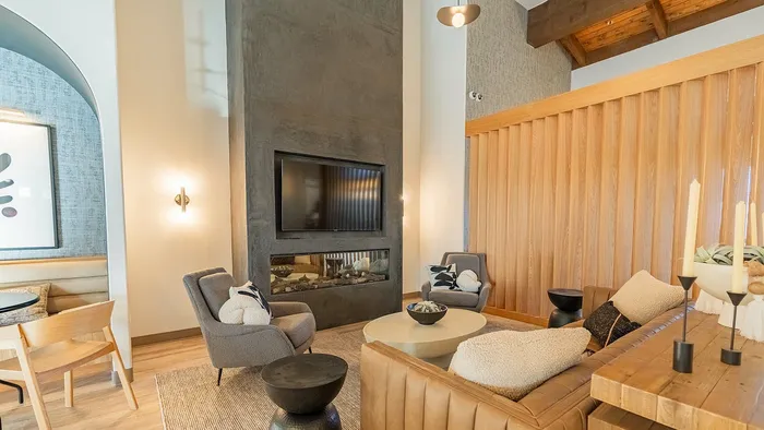 Seating, fireplace and tv