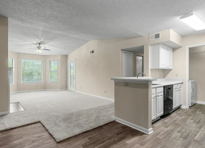 vacant kitchen and living room