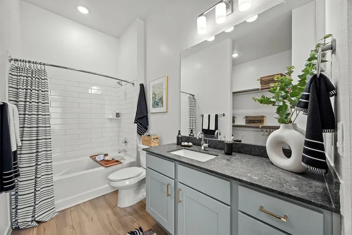 Marlowe Denton Bathroom