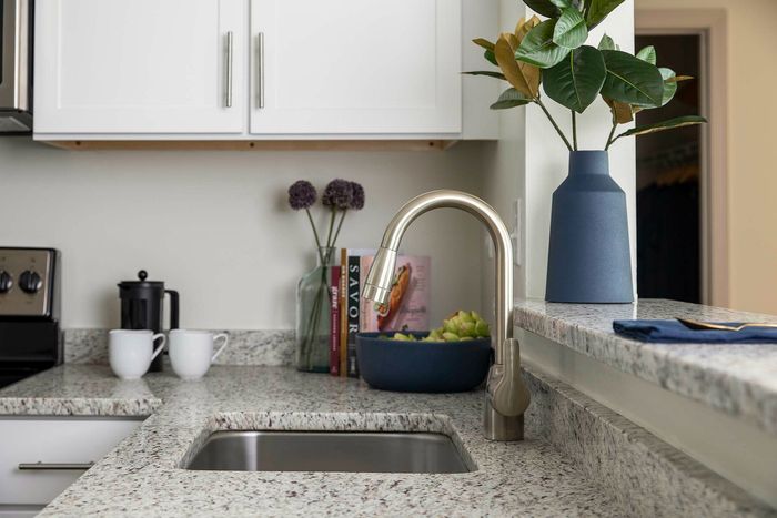 Granite or quartz countertops*