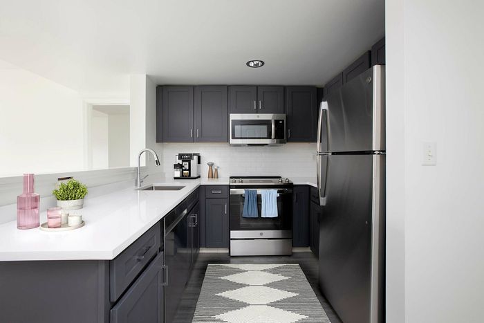 Shaker-style, soft-close cabinets with pull fixtures