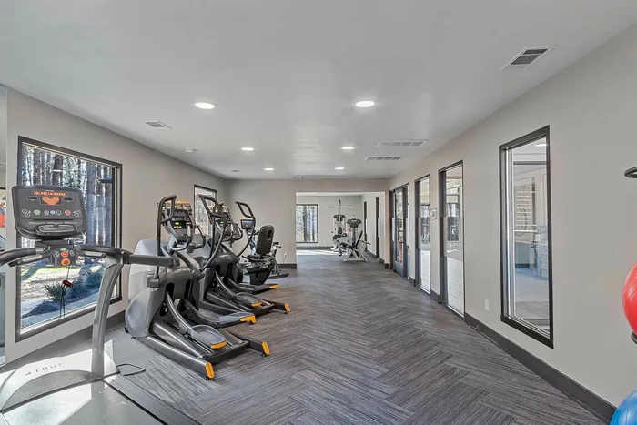 Fitness Elipticals