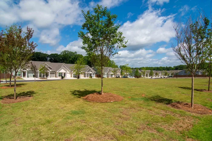 neighborhood green areas