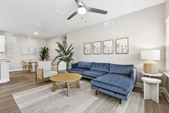 blue couch living room
