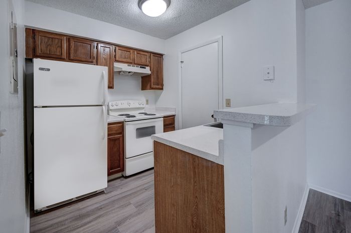 classic apartment kitchen