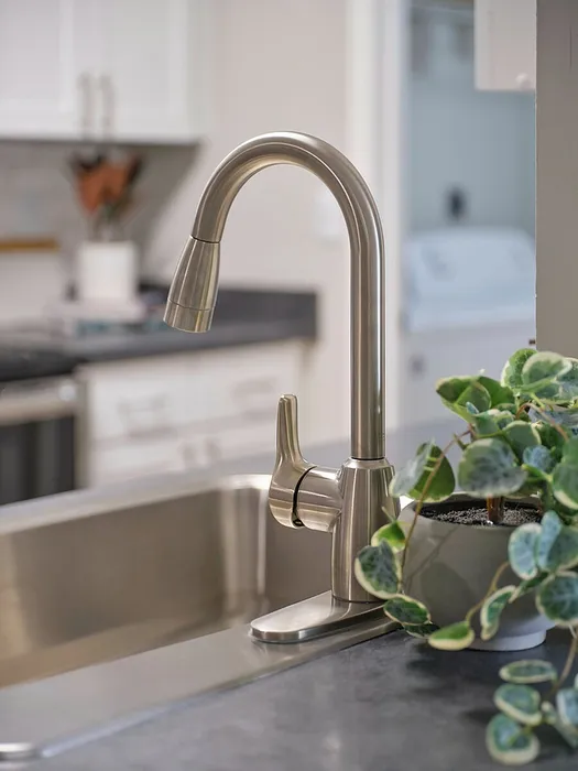 Elegant kitchen with a sleek stainless steel faucet, modern countertop, and lush green plant.