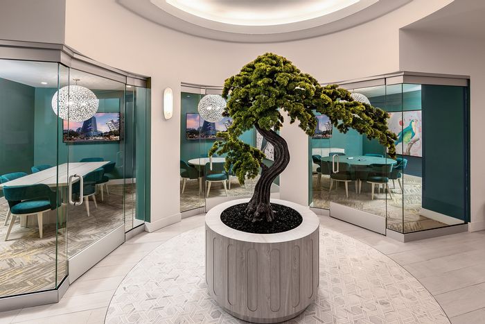 Elegant office space featuring stylish glass conference rooms with modern decor and a striking indoor bonsai center piece.