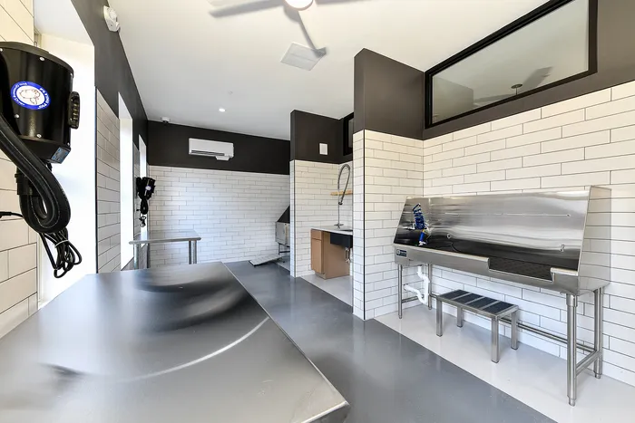 Modern pet grooming space with sleek stainless steel countertops, bright tiled walls, and high-end washing station.