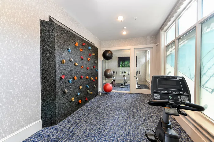 Inviting exercise room with a vibrant climbing wall, stationary bikes, and large windows offering natural light.