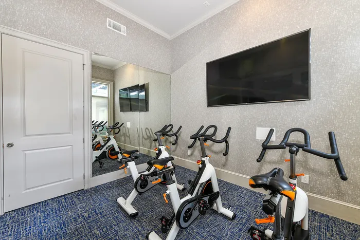 Contemporary fitness room featuring sleek stationary bikes, a large wall mirror, and a flat-screen TV, perfect for high-energy workouts.