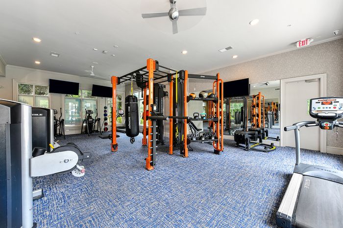 Modern fitness center equipped with cutting-edge gym equipment, bright natural light, and vibrant blue carpeting.