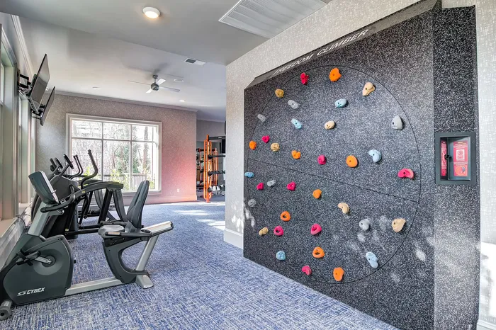 Modern apartment gym featuring a dynamic indoor climbing wall and state-of-the-art exercise equipment with a scenic window view.