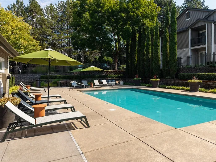 Pool with loungers