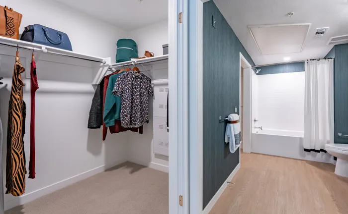 Inviting apartment interior showcasing a spacious walk-in closet next to a modern bathroom featuring elegant wood flooring and stylish wall accents.