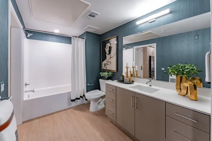 Sleek bathroom design featuring modern vanity, elegant decor, and inviting bathtub with contemporary accents.