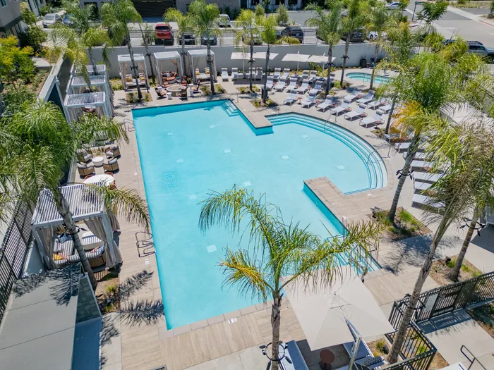 Luxurious outdoor pool area surrounded by palm trees, featuring cozy cabanas and numerous sun loungers for a perfect relaxation spot.