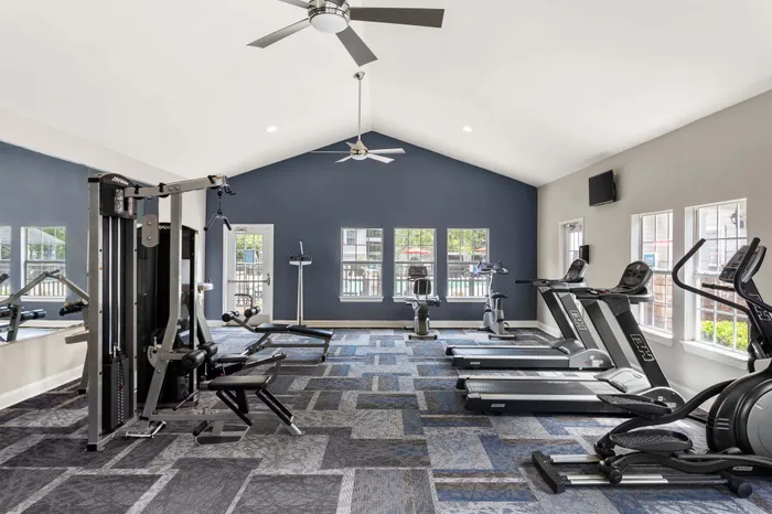 Modern gym with high ceilings, featuring state-of-the-art exercise equipment and large windows for natural light.