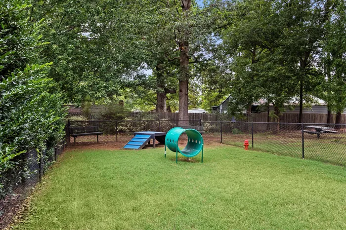 Inviting pet-friendly play area featuring lush greenery, agility equipment, and relaxing bench seating.