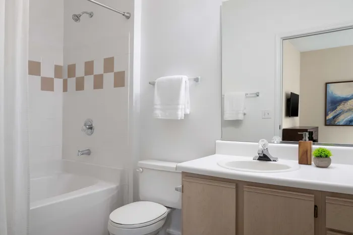 Modern bathroom with elegant fixtures, featuring a spacious bathtub, sleek vanity, and fresh towels in a thoughtfully designed space.