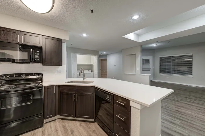 Modern kitchen featuring sleek dark cabinetry, spacious countertops, and stainless steel appliances seamlessly leading into an open-concept living area with stylish flooring.